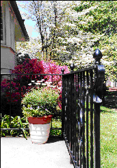 Our front stoop.