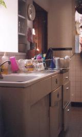 The old sink, emphasis on old.