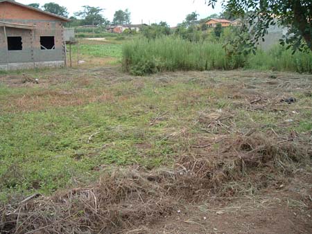 Foto014_3