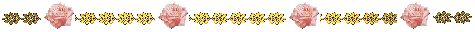 barra21.gif (5687 bytes)