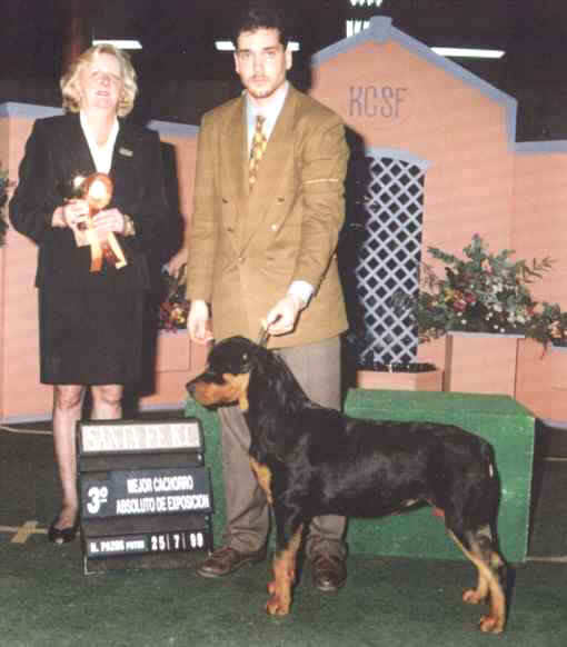 cata 3 mejor cachorro absoluto exposicion