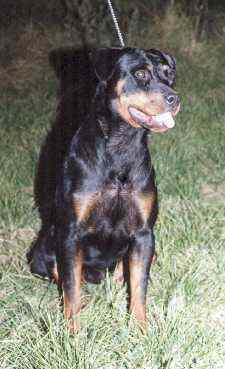 olivia cabeza y frente