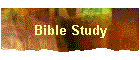 Bible Study