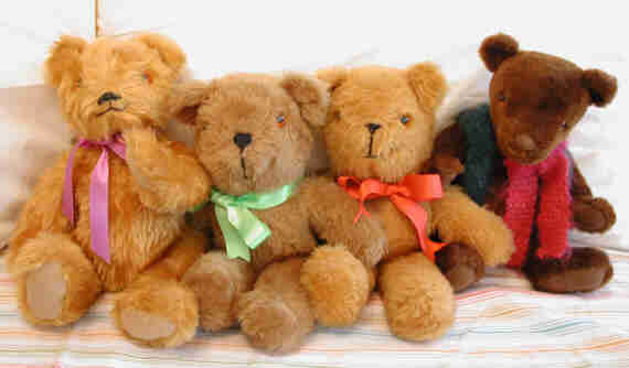 bears.jpg (14563 bytes)