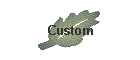 Custom