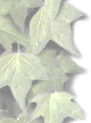 This image will illustrate floats