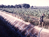 Irrigation Channel