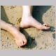 eb-closeup-012.JPG