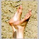 eb-closeup-017.JPG