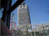 InTokyo.jpg (46245 bytes)