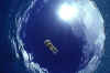 Scuba11.jpg (44470 bytes)