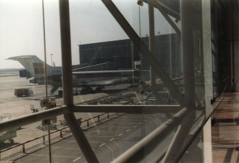 Plataformas y Pasarelas - Vista desde la Terminal