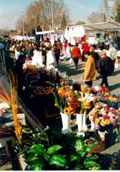 Feria anual del Gayo y la Agricultura