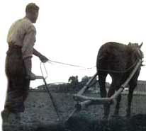 Agricultor labrando