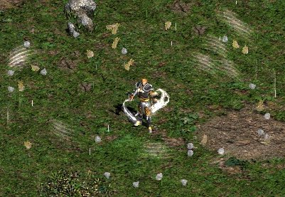 The ultimate destructive power of the wind