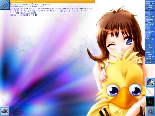 Selphie and a Chocobo, from Final Fantasy VIII