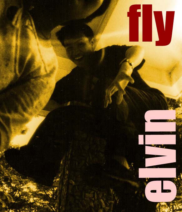 Fly elvin poster
