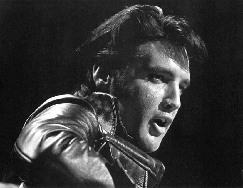 ELVIS BOOKS