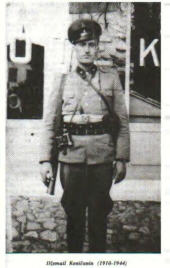 Dzemail Konicanin