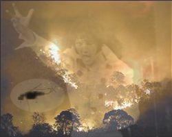 Bushfires