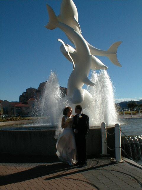 dolphins