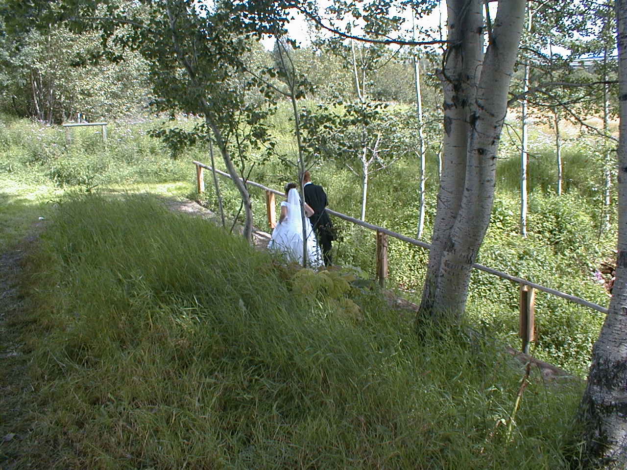 hiking