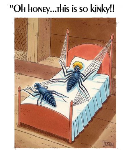 KinkySex.jpg