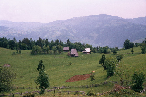 The open country...
