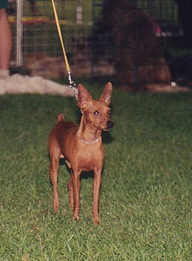 12 months of age