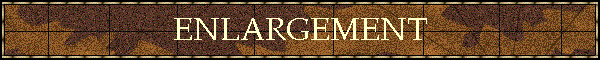ENLARGEMENT
