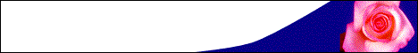 matrimonial banner