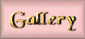 [gallery.html]