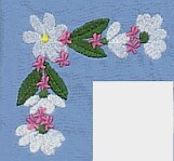 DebH.jpg (8455 bytes)