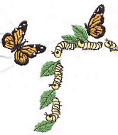 Fern.jpg (9126 bytes)