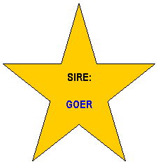 1982 WORLD CHAMPION
            "TEXAGO"