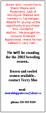 Text Box: James and I would like to thank Wayne and Rosemarie Jubb of Showtyme Stables and kennels in Carmengay Alberta for giving us the opportunity to purchase this wonderful stallion...We brought hin home to Emerald Appaloosas where he has settled in very well...
 He will be standing for the 2003 breeding season..
 frozen and cooled semen available..  contact Terry Moe
email : emeraldappaloosas@shaw.ca
 phone 250-989-0108 
 
