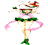 30 (NOT a transparent gif)