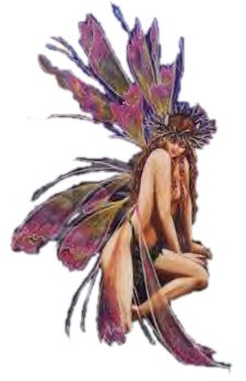 Fairy 20