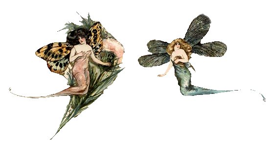 Fairy 5