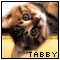 I love tabbies!