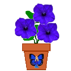 The Site Fights Spirit Flowers