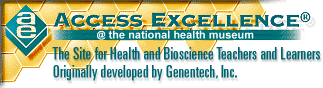 somewhat lucid science lessons, check the biotech graphics gallery