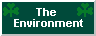 environment