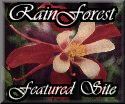 rain forest featured page award