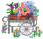 floral graphic