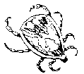 tick graphic
