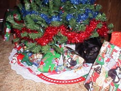 Isisxmas6.JPG (28409 bytes)