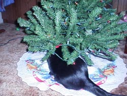 Isisxmas9.JPG (25765 bytes)