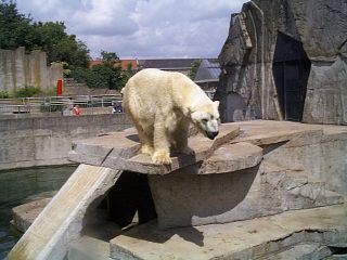 It's hot I need a dip.