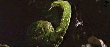 The woodbeast relishes the thought of killing Peter Duncan.
